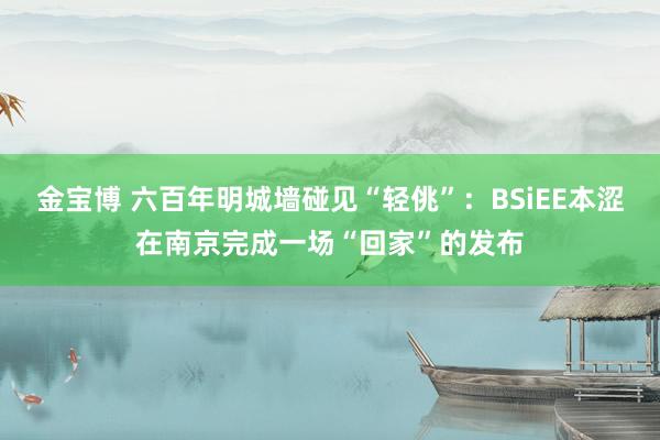 金宝博 六百年明城墙碰见“轻佻”：BSiEE本涩在南京完成一场“回家”的发布