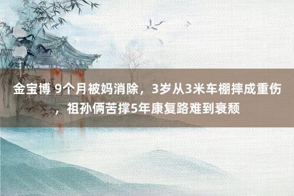金宝博 9个月被妈消除，3岁从3米车棚摔成重伤，祖孙俩苦撑5年康复路难到衰颓