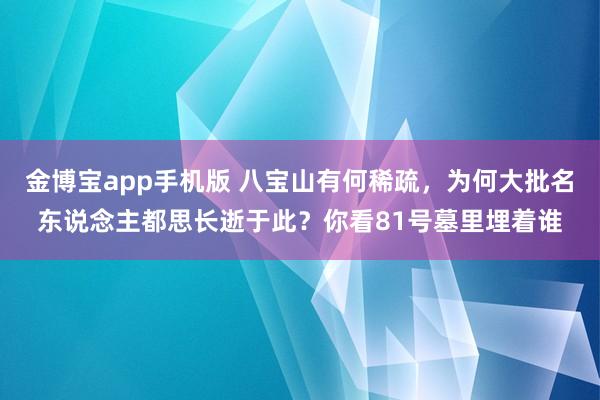 金博宝app手机版 八宝山有何稀疏，为何大批名东说念主都思长逝于此？你看81号墓里埋着谁