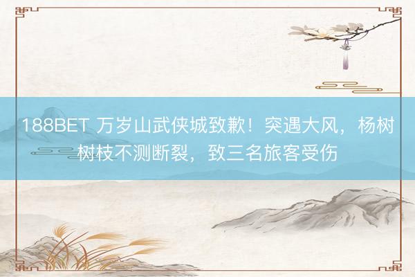 188BET 万岁山武侠城致歉！突遇大风，杨树树枝不测断裂，致三名旅客受伤